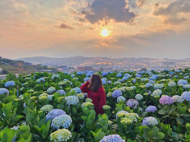 TRẢI NGHIỆM TOUR HÀ NỘI - NHA TRANG - ĐÀ LẠT 5 NGÀY 4 ĐÊM